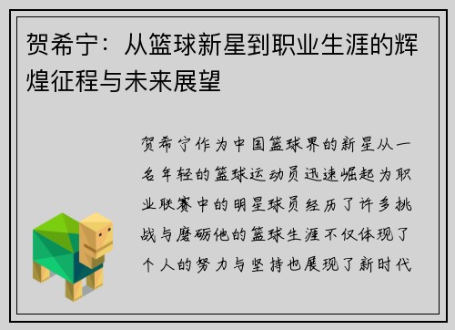 贺希宁：从篮球新星到职业生涯的辉煌征程与未来展望